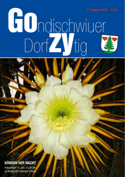 Dorfzeitung Gozy 3/2015