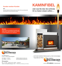 Kaminbau Schneider Kaminfibel