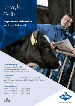 Handzettel Sprayfo Gelb