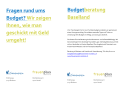 Fragen rund ums Budget? Wir zeigen Ihnen, wie man geschickt mit