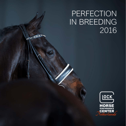 perfection in breeding 2016 - GLOCK HORSE PERFORMANCE