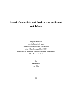 Impact of mutualistic root fungi on crop quality and pest defense
