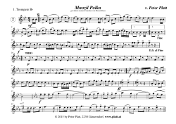 Mnozil Polka - 1. Trompete Bb - Platt