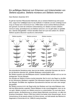 Ein auff&auml;lliges Merkmal zum Erkennen und Unterscheiden von