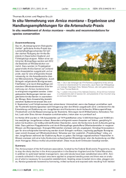 In situ-Vermehrung von Arnica montana – Ergebnisse und