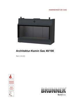 Architektur-Kamin Gas 40/100