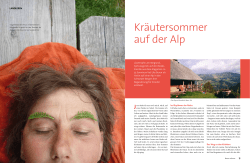 ist der Artikel nachzulesen