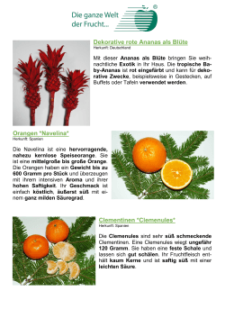 Dekorative rote Ananas als Blüte Orangen *Navelina