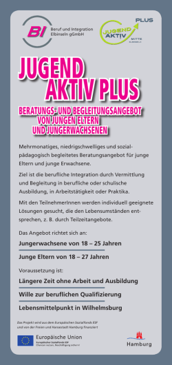 jugend aktiv plus - BI Elbinseln gGmbH