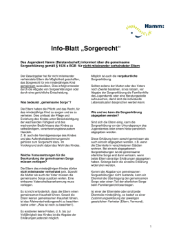 Infoblatt Sorgerecht