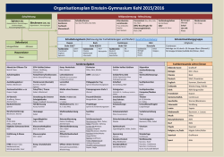 Organisationsplan Einstein