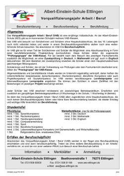 Infoblatt - Albert-Einstein