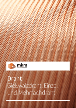 Draht Gie&szlig;walzdraht, Einzel- und Mehrfachdraht