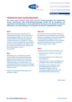 Infoblatt F&ouml;rderung der Lehrausbildung