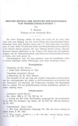 dritter beitrag zur kenntnis der ma.ntodeen von niederlandisch