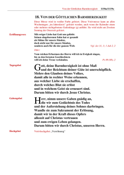Messformular als Einlageblatt