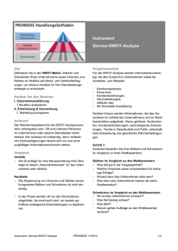 Instrument Service-SWOT