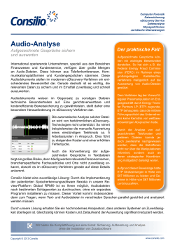 Audio-Analyse - Consilio.com