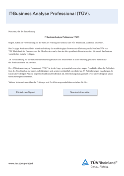IT-Business Analyse Professional (T&Uuml;V).