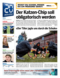 Der Katzen-Chip soll obligatorisch werden