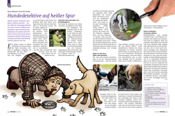 Hundedetektive auf hei&szlig;er Spur