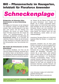 Schneckenplage - floraforce.ch