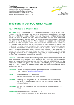 Einf&uuml;hrung in den FOCUSING Prozess