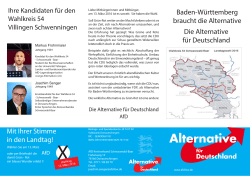 AfD-Flyer Wahlkreis 54 - Alternative für Deutschland – Kreisverband