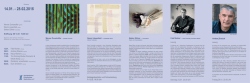 Naomi Liesenfeld &ndash; &bdquo;Farbstudie 1/2016&ldquo;