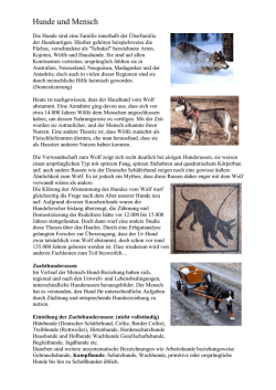 Hunde und Mensch - Allgemeinbildung