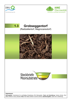 Grobseggentorf 1.3