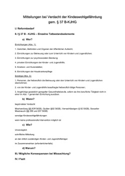 Handout Programm