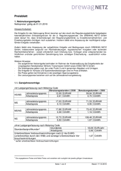 Entgelte für die Netznutzung Strom (gültig ab