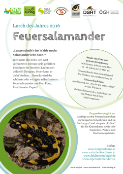 Infoblatt