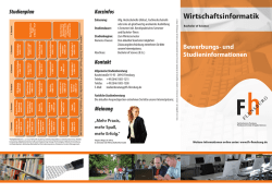 Info-Brosch&uuml;re der Wirtschaftsinformatik