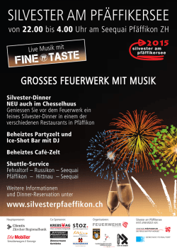 GROSSES FEUERWERK MIT MUSIK - Silvester 2015 AM Pf&Auml;ffikersee