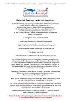 Merkblatt: Feuerwerk während des Jahres