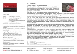 feuerWERK - Eisenbildhauerei.de