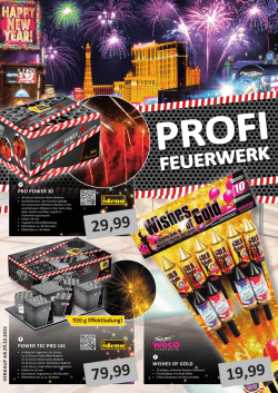 feuerwerk - Spielwaren Schweiger