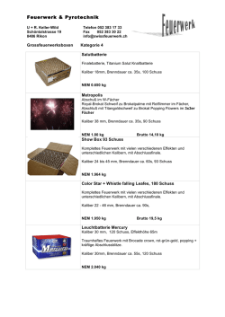 Feuerwerk & Pyrotechnik