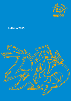 Doku Titel zweite Zeile Bulletin 2015
