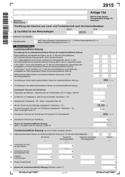 Anlage_13a_2015
