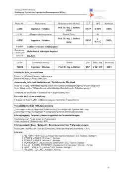LV 41050 Ingenieurholzbau (K) (PDF 0,29MB)