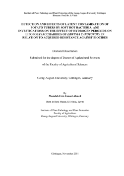 as a PDF