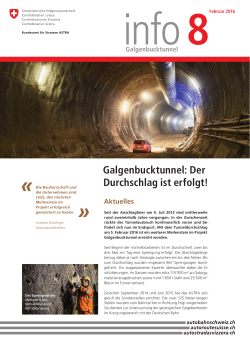 Info 8 Galgenbucktunnel - Gemeinde Neuhausen am Rheinfall