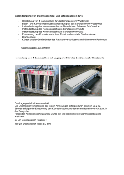 Instandsetzung von Stahlwasserbau