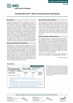 Intrazellul&auml;res ATP - Marker mitochondrialer Dysfunktion