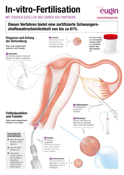 IVF mit eigenen Eizellen und Samen des Partners