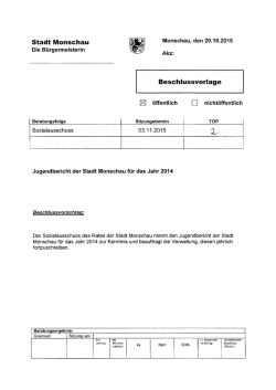 TOP 2 Jugendbericht 2014 PDF