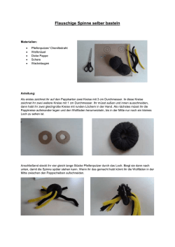 Flauschige Spinne selber basteln